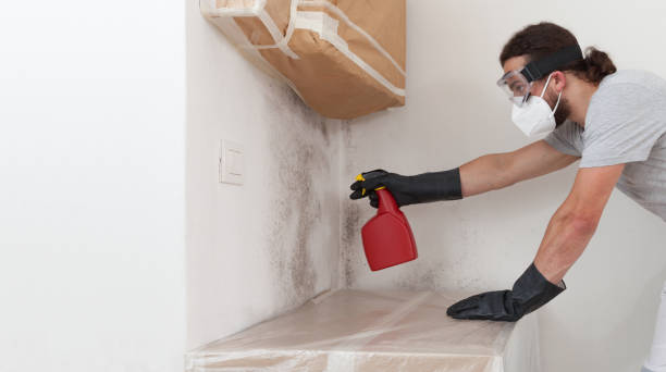 Professional Mold Cleanup technician working in Deltaville, VA